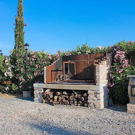 Agriturismo Ferruggini Bolgheri Exterior foto
